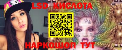 крисы Краснодар