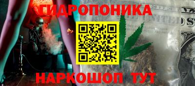 крисы Краснодар