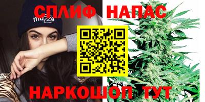 крисы Краснодар