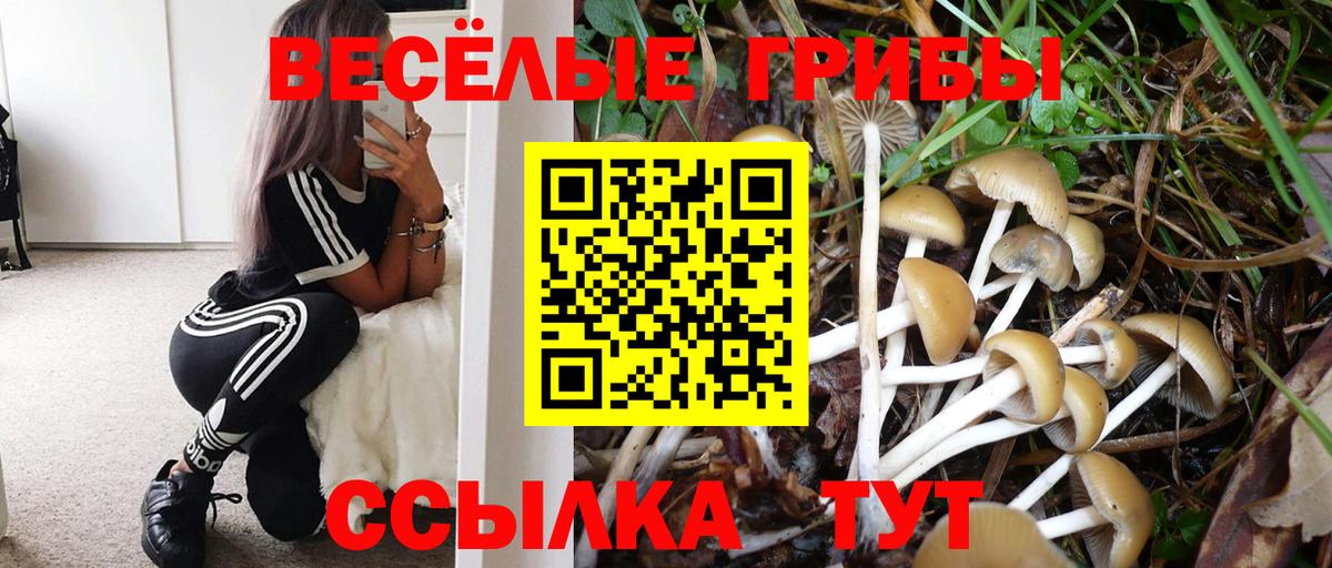 Галлюциногенные грибы GOLDEN TEACHER Карпинск